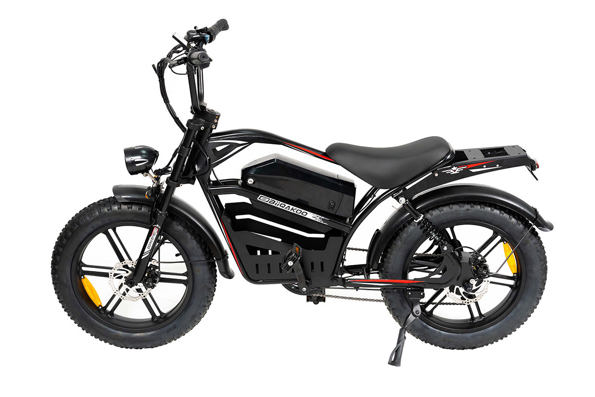 Cateooki U8 Voyager All-Weather Fat Tire E-Bike