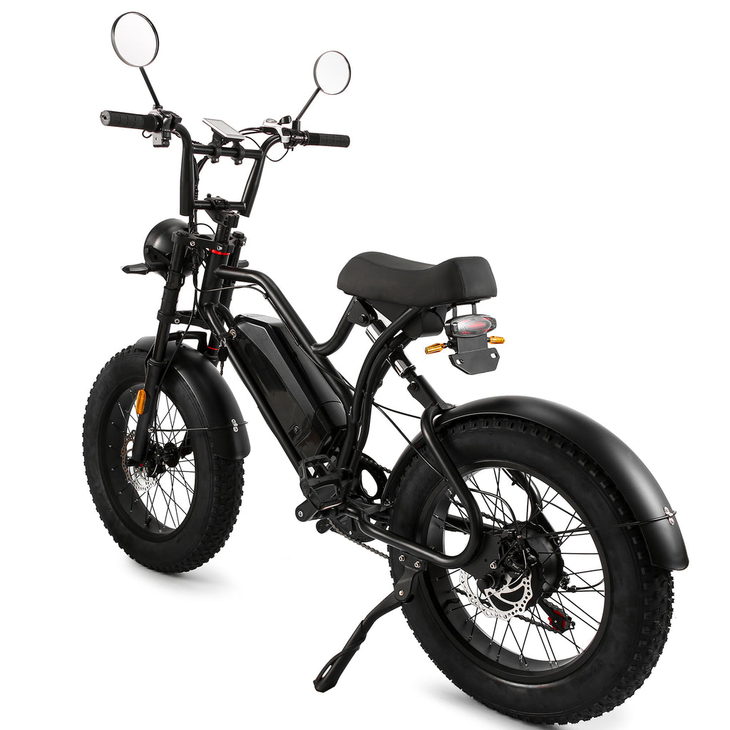 Cateooki 0034 Pathfinder Adventure-Ready Fat Tire