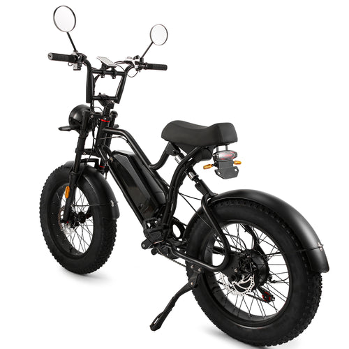 Cateooki 0034 Pathfinder Adventure-Ready Fat Tire