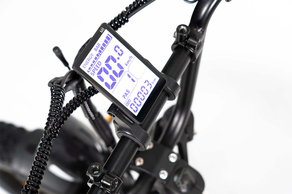 Cateooki U8 Voyager All-Weather Fat Tire E-Bike