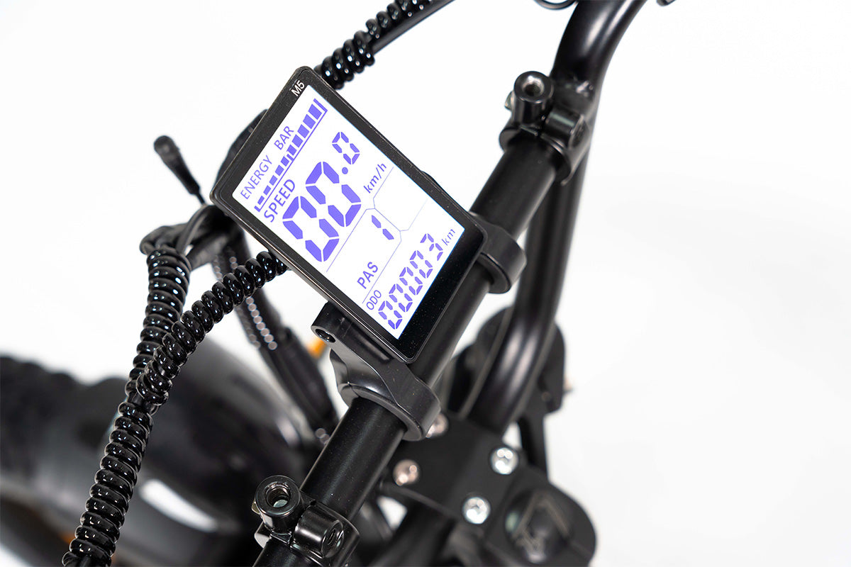 Cateooki U8 Voyager All-Weather Fat Tire E-Bike