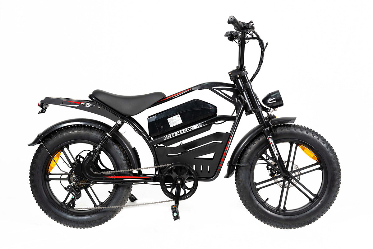 Cateooki U8 Voyager All-Weather Fat Tire E-Bike